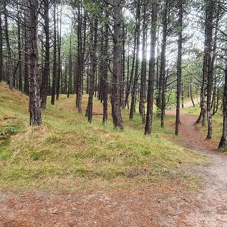 8 Person In Romo-by Traum 別荘 Kongsmark