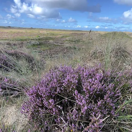8 Person In Romo-by Traum Semesterbostad
