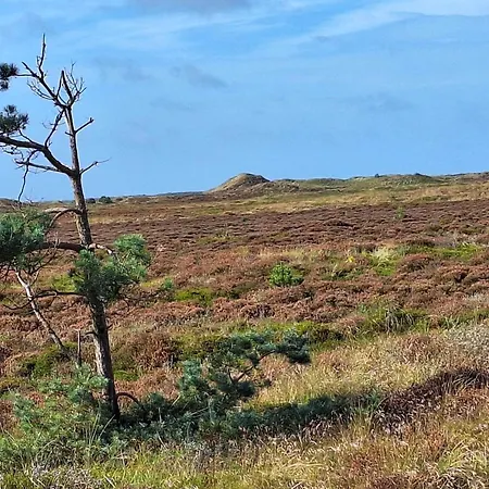 Semesterbostad 8 Person In Romo-by Traum *