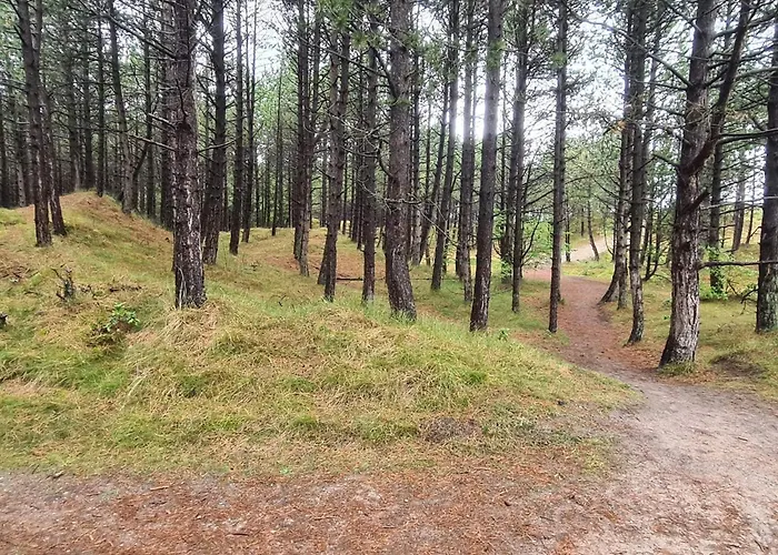 8 Person In Romo-by Traum بيت للعطل Kongsmark