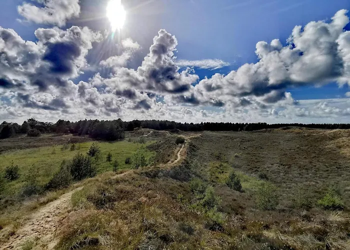 بيت للعطل 8 Person In Romo-by Traum *