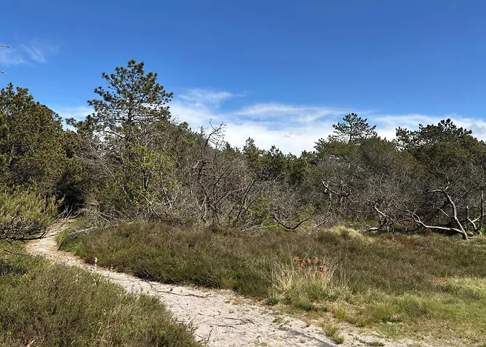 8 Person In Romo-by Traum Kongsmark