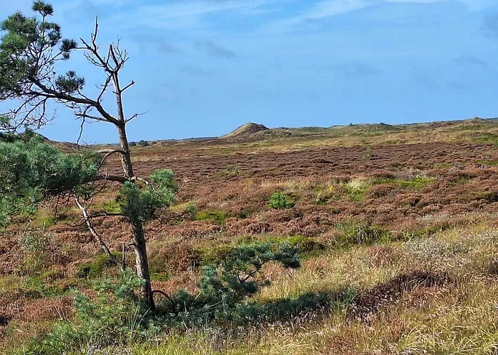 بيت للعطل 8 Person In Romo-by Traum *